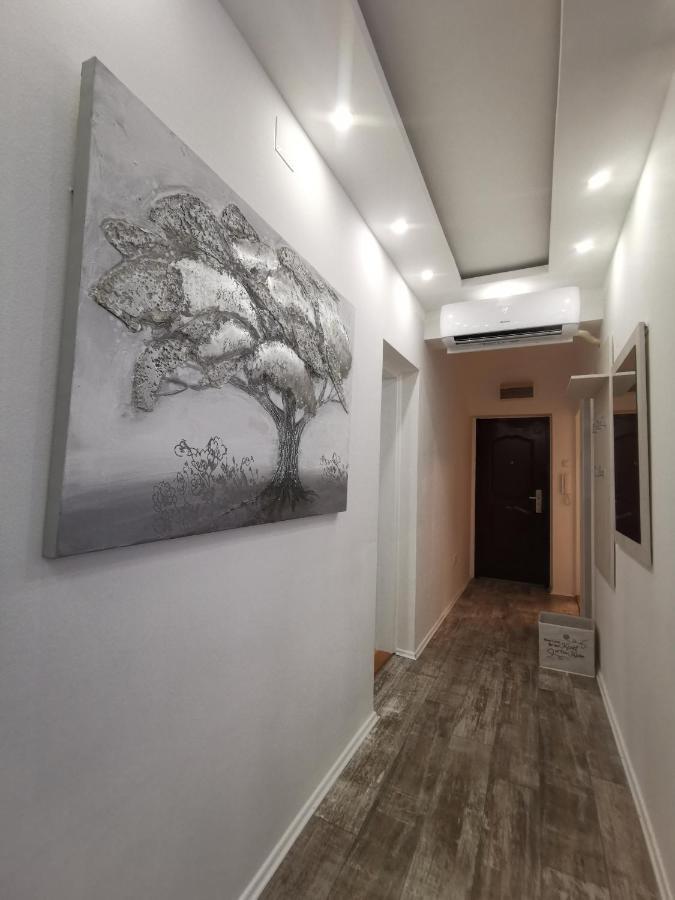 Apartamento White House Ns Novi Sad Exterior foto